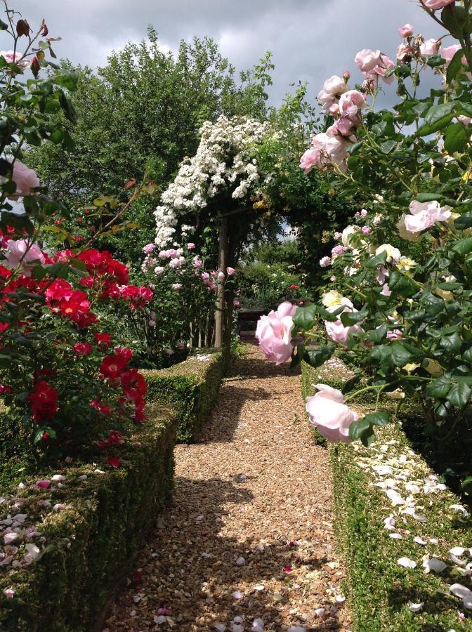 Orchard Cottage, Clematis Cottages, Stamford. Accessible Luxury Home. Экстерьер фото