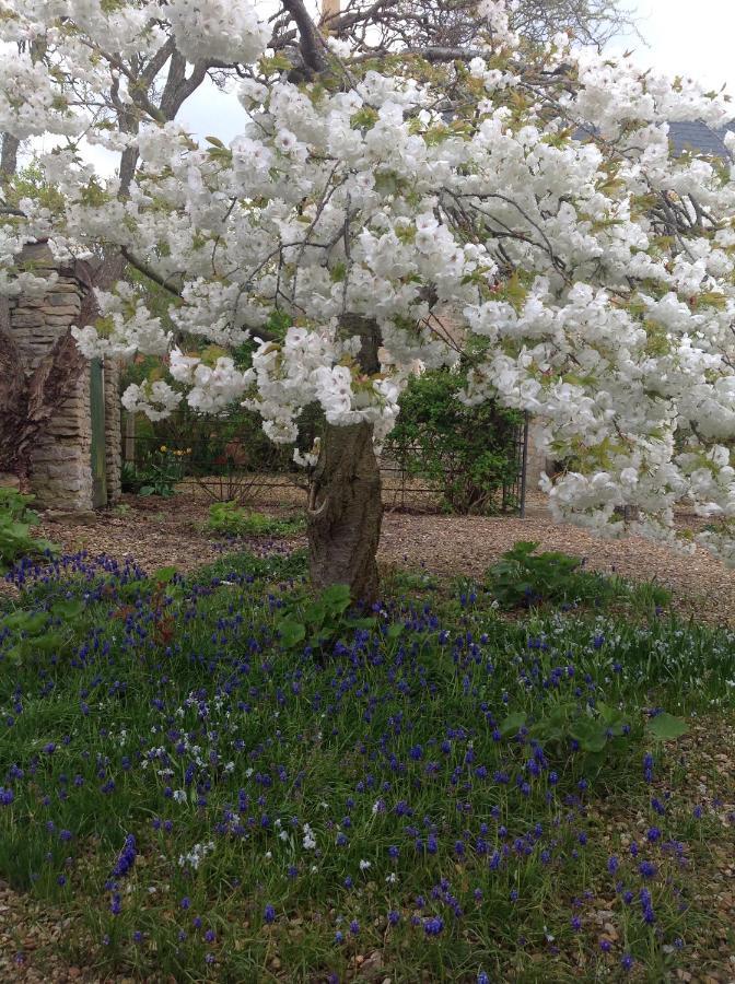 Orchard Cottage, Clematis Cottages, Stamford. Accessible Luxury Home. Экстерьер фото